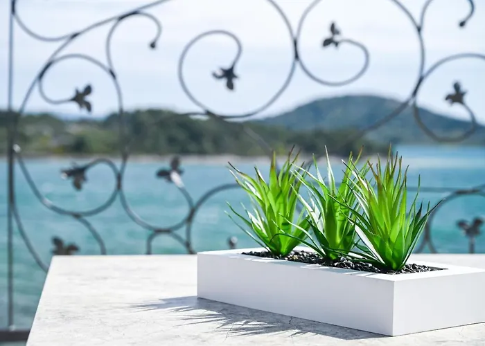 Bonaventura * Murter